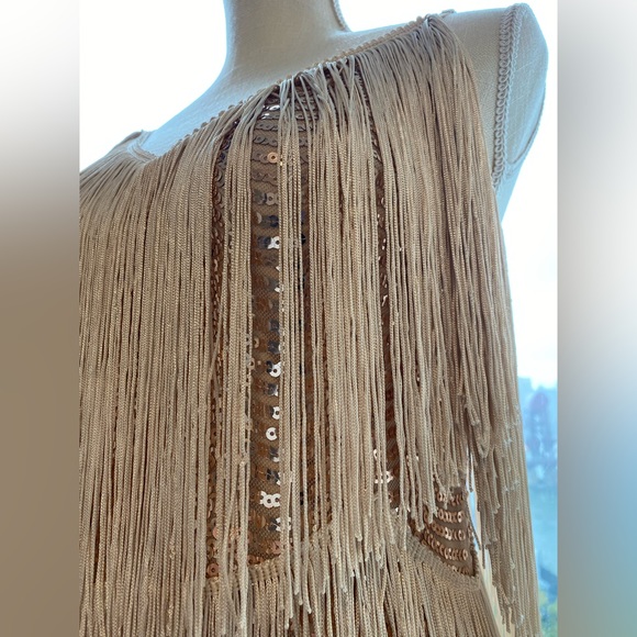 NWOT Lulus Get in the Groove Sequin Fringe Dress - Picture 4 of 9